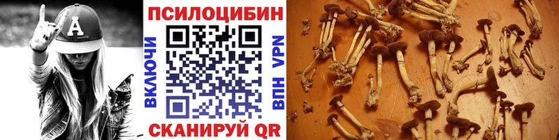 Псилоцибиновые грибы прущие грибы  Чулым 